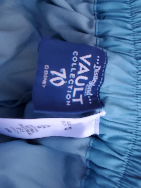 Disney Teal 70th Scenic Print Circle Skirt - Picture 8 of 9